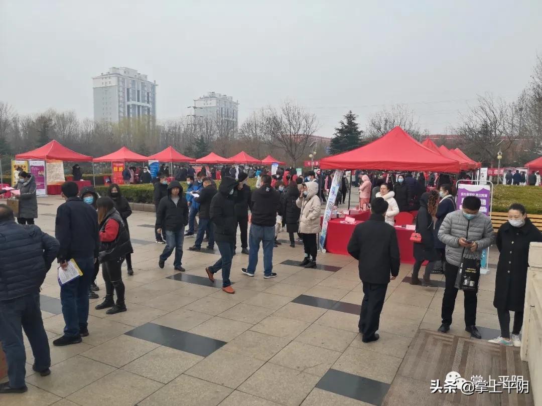 平阴最新招聘信息列表，求职者的福音