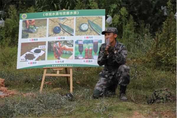 2017野战门图片的魅力与独特之处探索