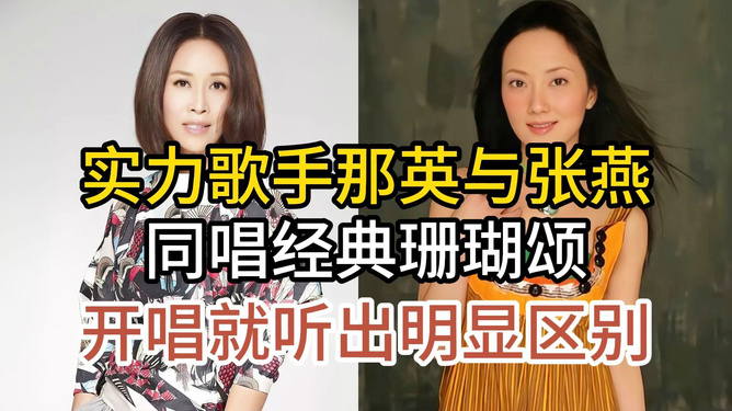 张燕最新消息，歌坛新动态与粉丝共赏