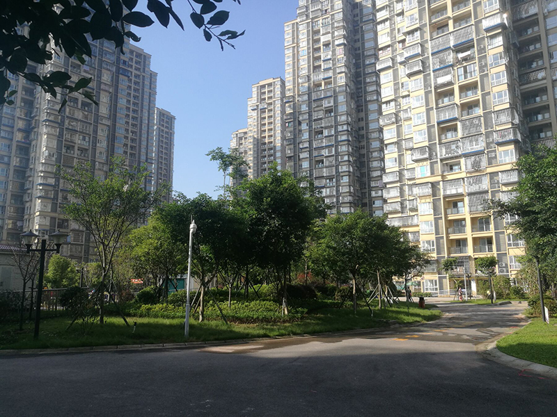 泸州佳兴茗苑，最新风貌与魅力展现