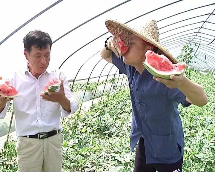 今日生活，在线观看最新动态与趋势的窗口