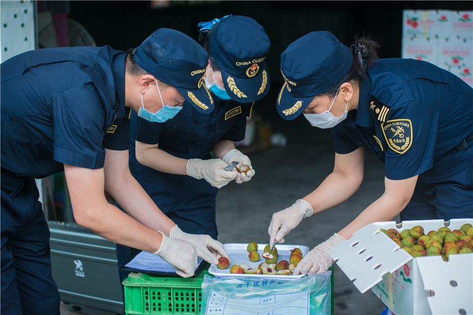 天津东岸名郡最新价格分析