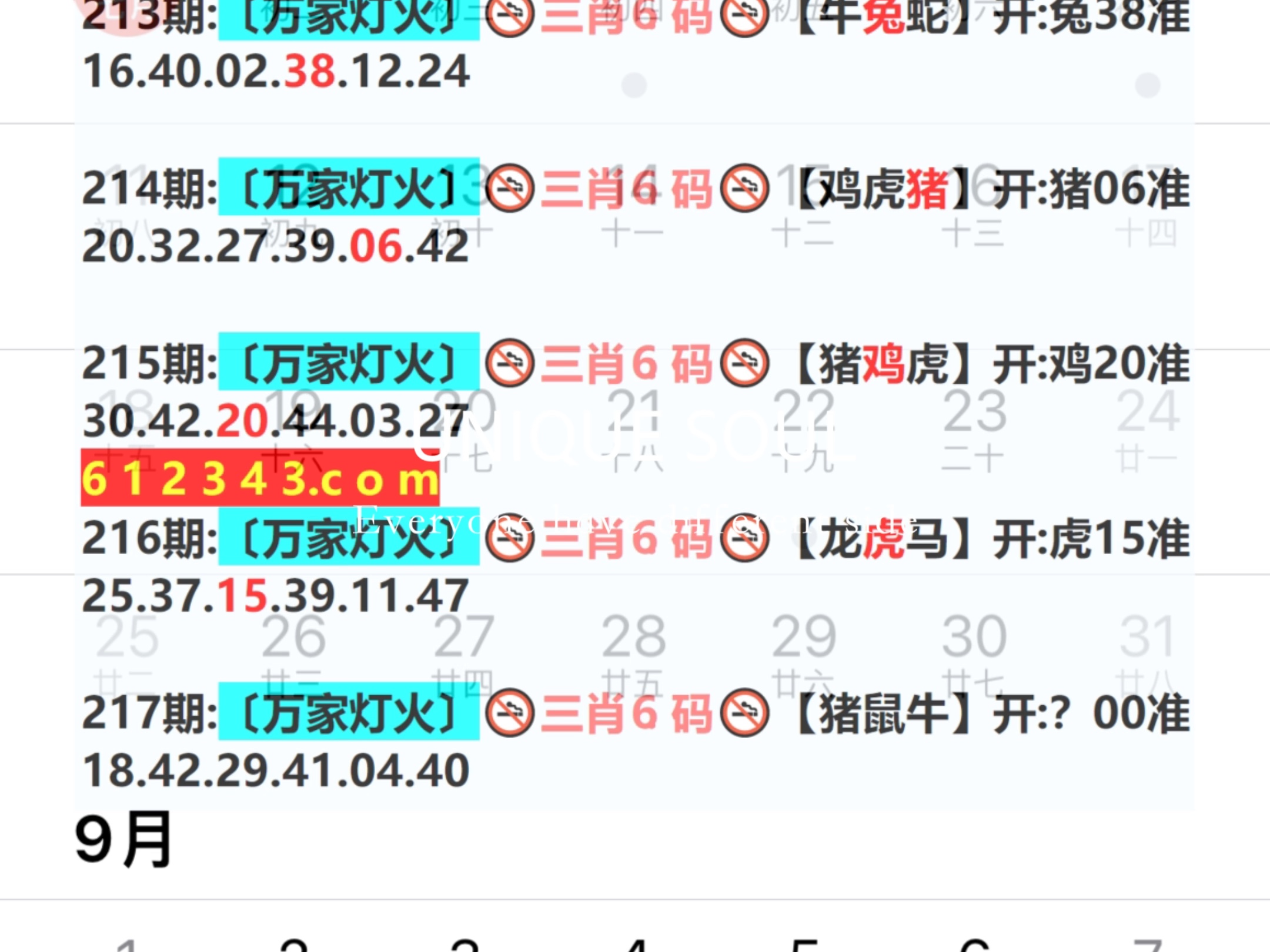 2024年新奥门开奖结果查询|精选解释解析落实