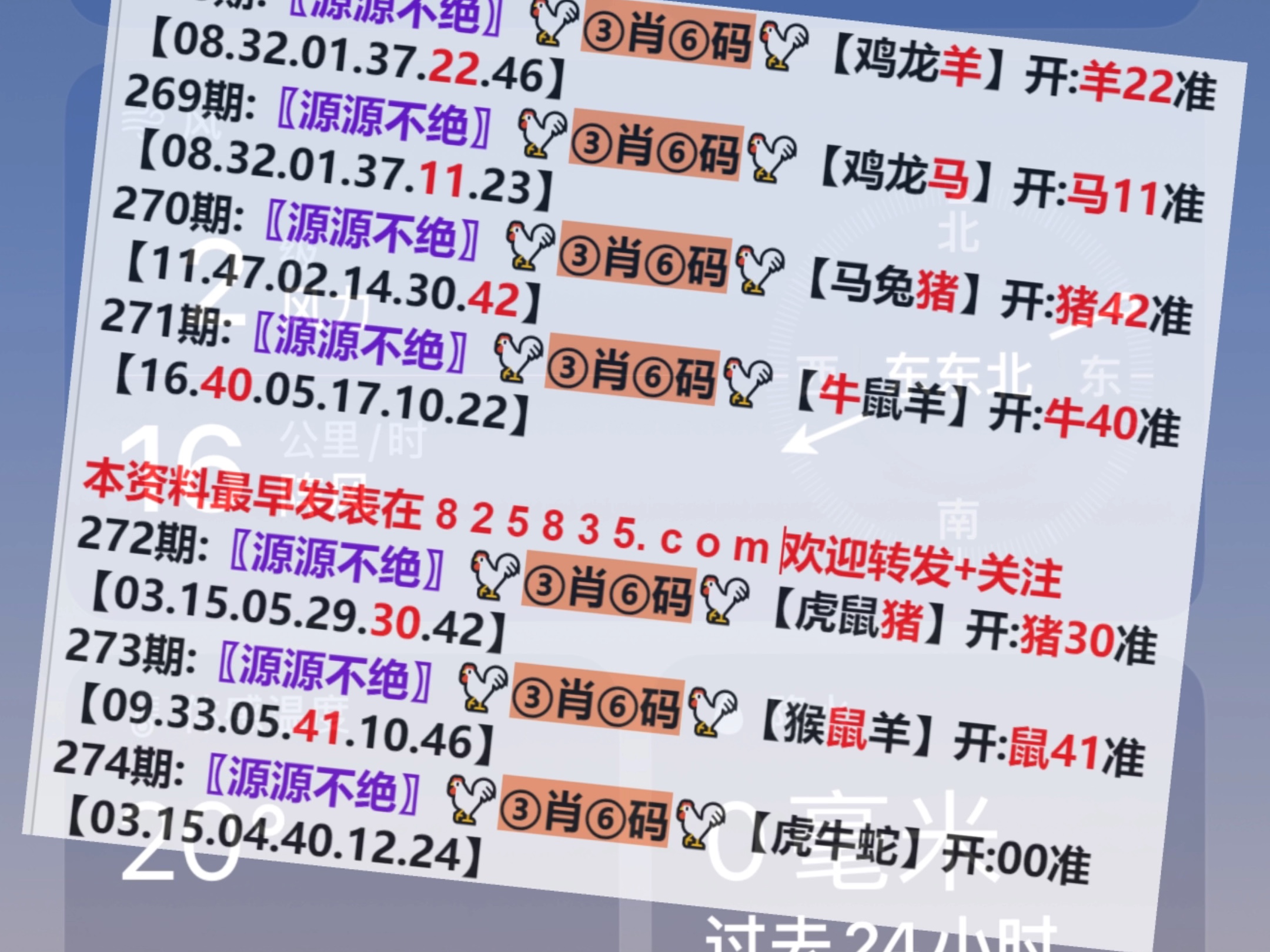 2024年12月14日 第7页