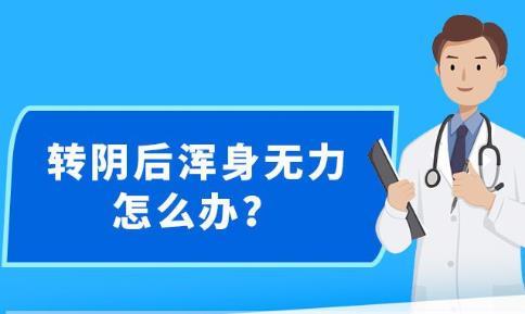 新澳精准资料免费提供网站有哪些|精选解释解析落实