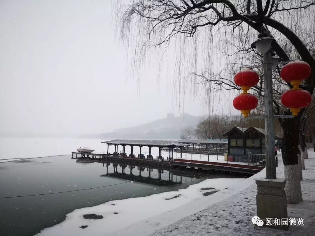 赞皇颐和盛景最新动态，美丽画卷中的新篇章启幕
