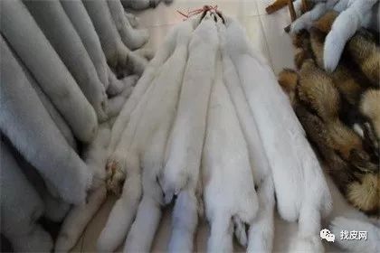 白狐狸皮最新价格揭秘