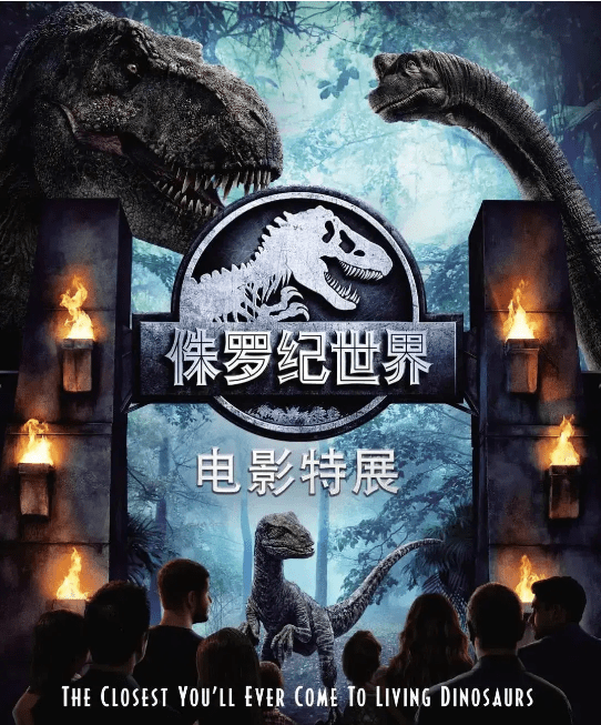 汤告鲁斯最新力作，探索电影艺术的无限可能
