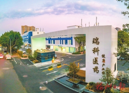 亭林大居新动态，探索与发展共谱新篇章