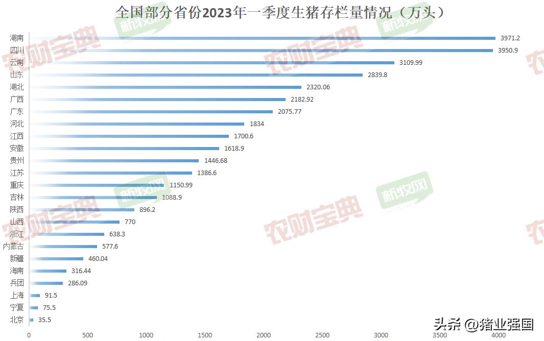 广东今日最新生猪价格分析报告