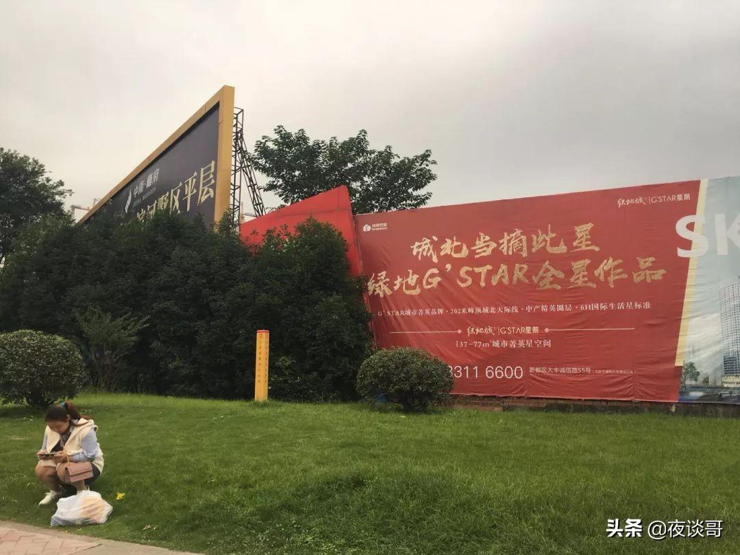 成都大丰绿地城绿色生态崛起与城市发展新篇章的最新动态