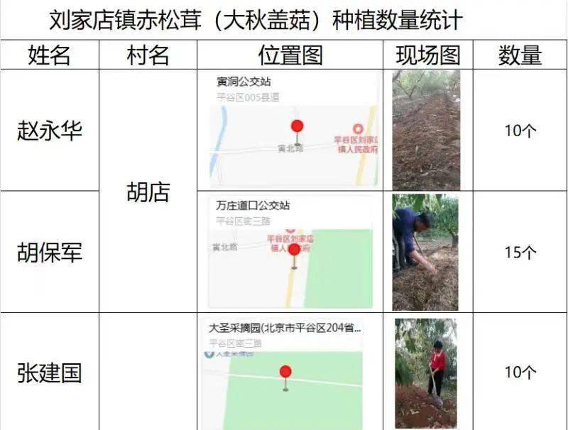 桃隐官方社区最新导航探索