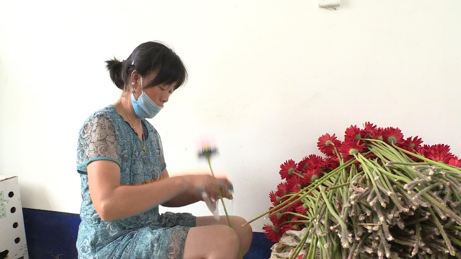 大棚养虾技术视频详解，高效养殖与绿色环保