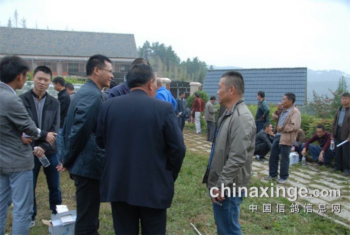 纳雍文昌公棚最新赛事动态