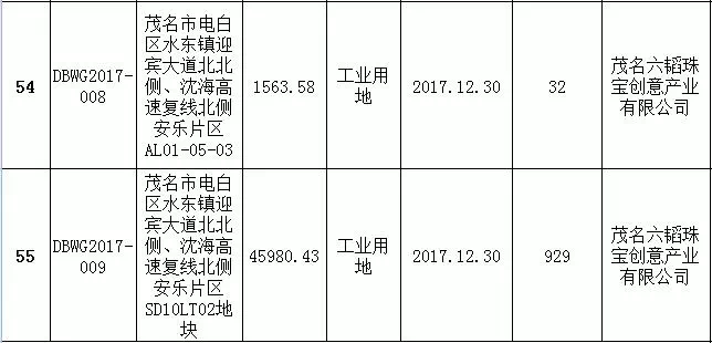 茂名2017拍卖最新公告