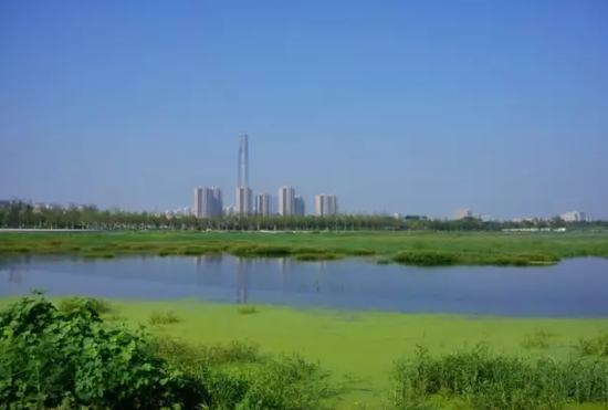 侯台湿地公园新动态，生态保护与休闲游玩兼具